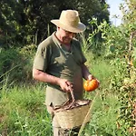 Çiftlik konaklama Vulcano