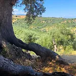 Çiftlik konaklama Vulcano Mirto Crosia