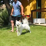 Vulcano Çiftlik konaklama Mirto Crosia