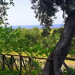 Vulcano * Mirto Crosia