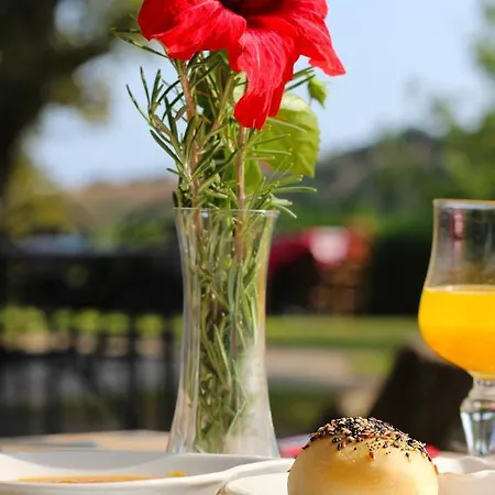 Vulcano 미르토 크로시아