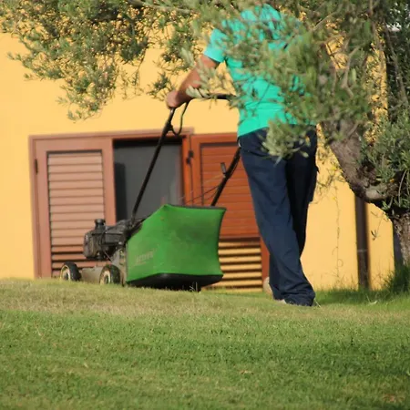 팜스테이 Vulcano 미르토 크로시아