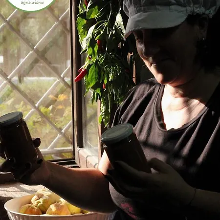 Vulcano 팜스테이 *