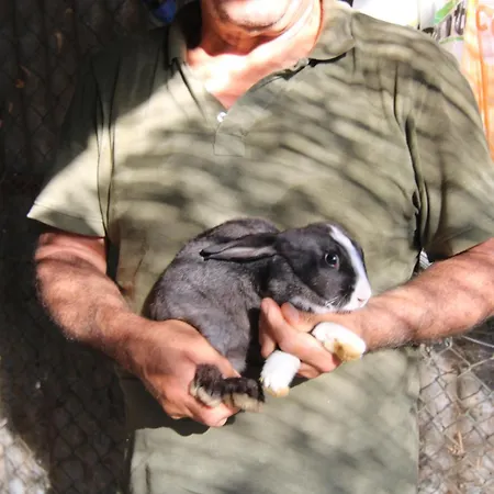 Vulcano 팜스테이 *