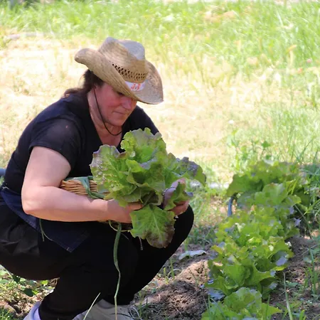 Vulcano מירטו קרוזיה