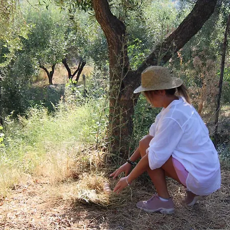 Vulcano 팜스테이 미르토 크로시아