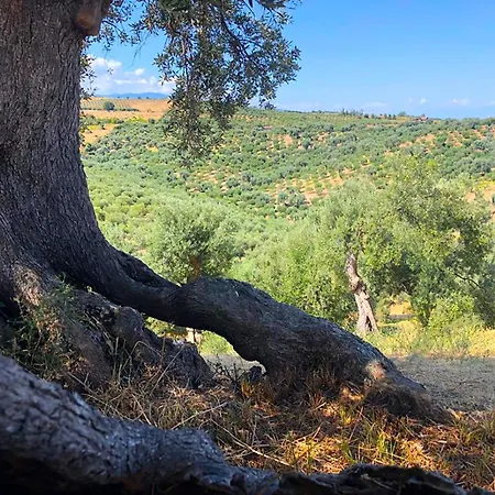 Farma Vulcano Crosia