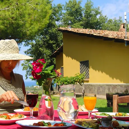 Vulcano 미르토 크로시아