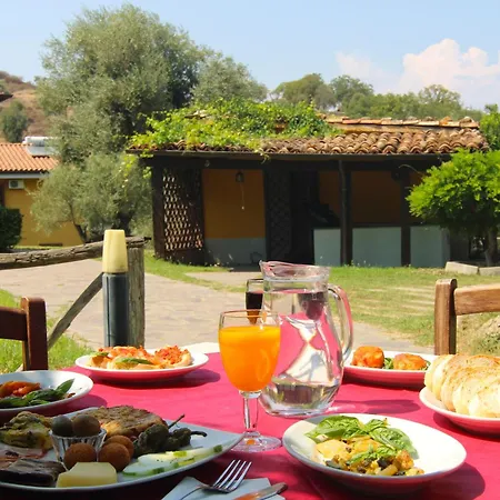 Vulcano 팜스테이 *