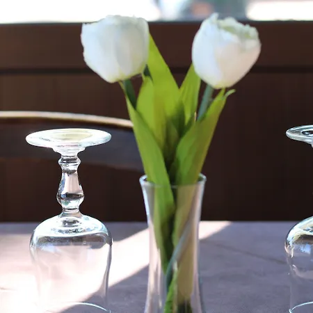 팜스테이 Vulcano 미르토 크로시아