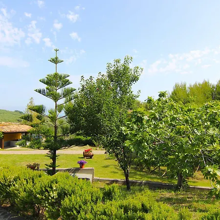 팜스테이 Vulcano