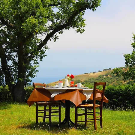 Vulcano 미르토 크로시아