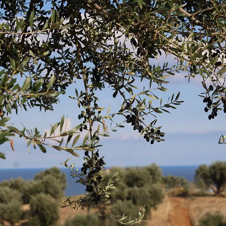 Vulcano 팜스테이 *