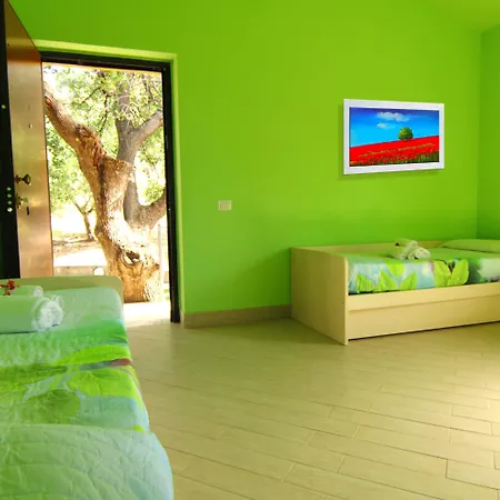 Vulcano 팜스테이 *