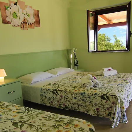 Vulcano 팜스테이 *