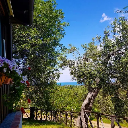 Vulcano 팜스테이