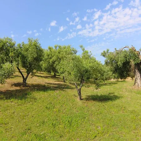 팜스테이 Vulcano *