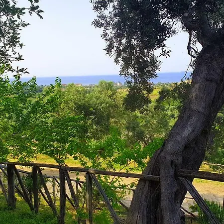 Vulcano * 미르토 크로시아