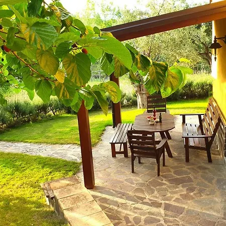 Vulcano * 미르토 크로시아