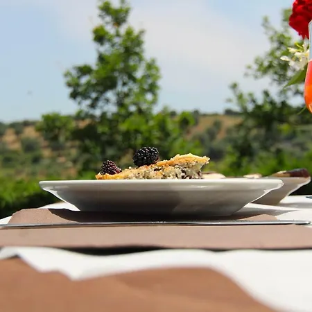 Vulcano 팜스테이