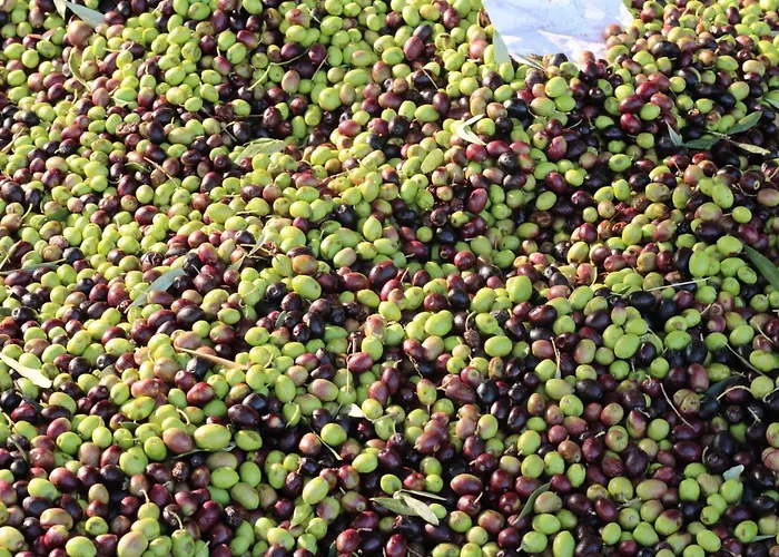 Vulcano Alojamento de Turismo Rural Mirto Crosia
