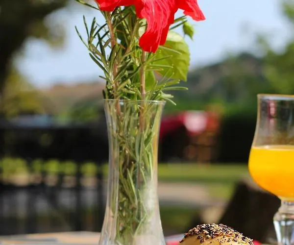 Vulcano מירטו קרוזיה