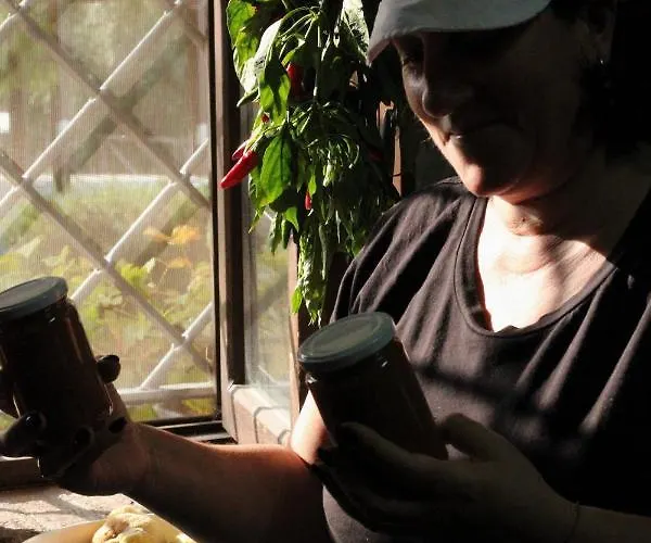 Vulcano בית חווה *