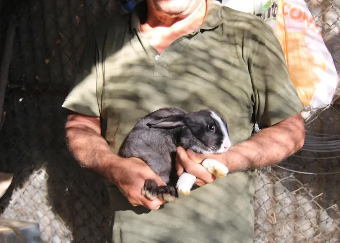 Vulcano בית חווה *