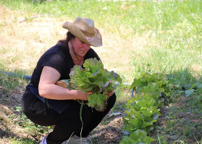 Vulcano מירטו קרוזיה