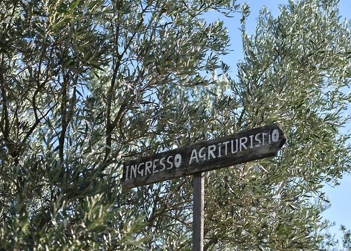 Vulcano * מירטו קרוזיה