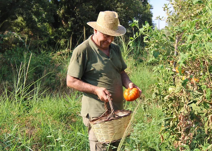 Alojamento de Turismo Rural Vulcano