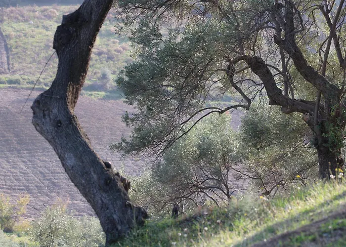 Alojamento de Turismo Rural Vulcano *