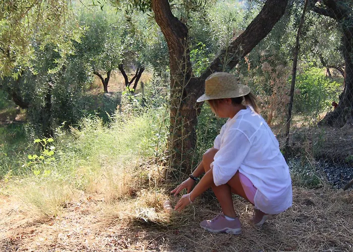 Vulcano בית חווה מירטו קרוזיה