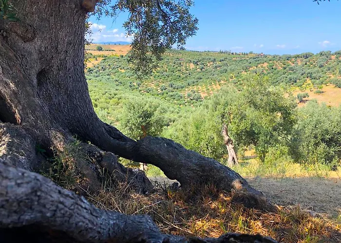 בית חווה Vulcano מירטו קרוזיה