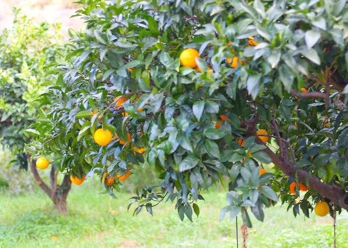 Alojamento de Turismo Rural Vulcano Mirto Crosia