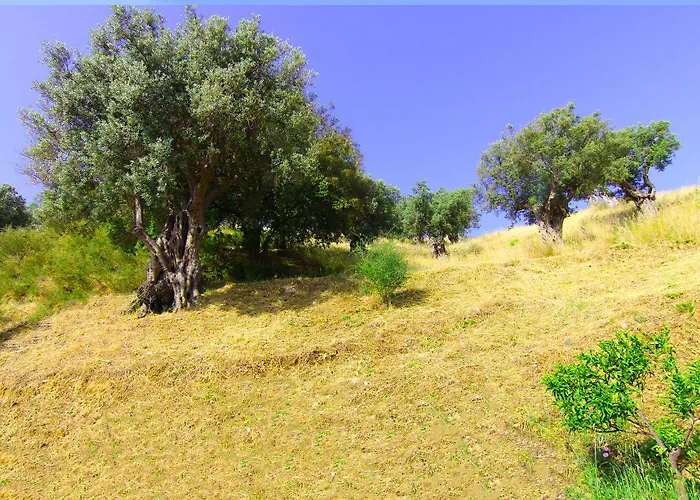 Alojamento de Turismo Rural Vulcano