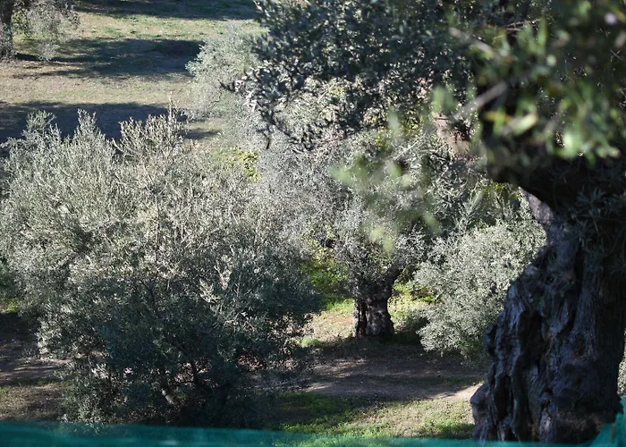 Vulcano Alojamento de Turismo Rural *
