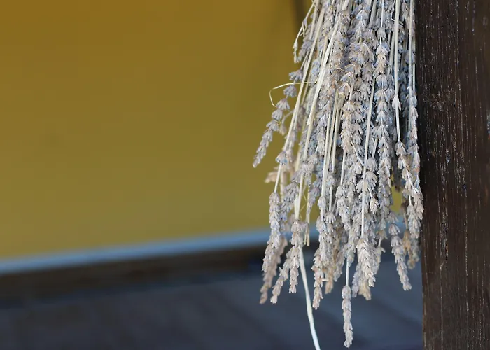 Vulcano מירטו קרוזיה