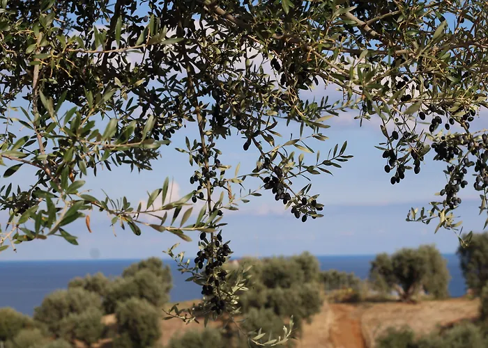 Vulcano בית חווה *