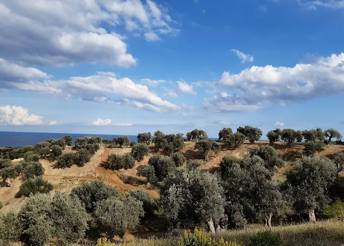 Vulcano Alojamento de Turismo Rural *