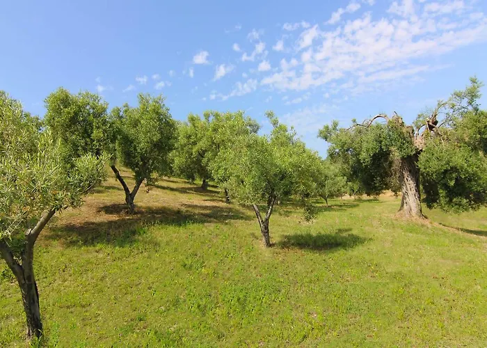 בית חווה Vulcano *