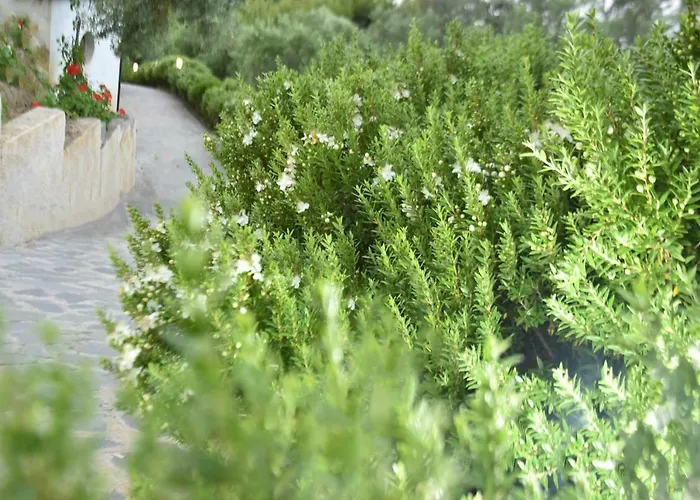 Alojamento de Turismo Rural Vulcano