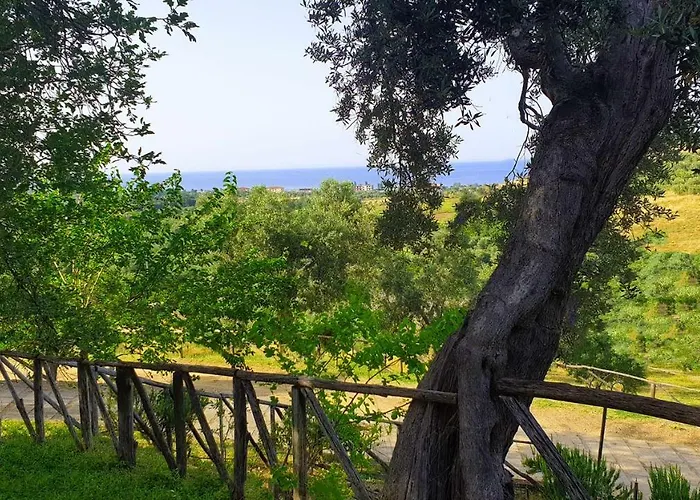 Vulcano * מירטו קרוזיה